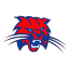 Benson High School logo