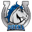 Buena High School logo