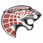 Desert View High School logo