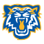 St David High School logo