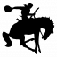 Willcox High School logo
