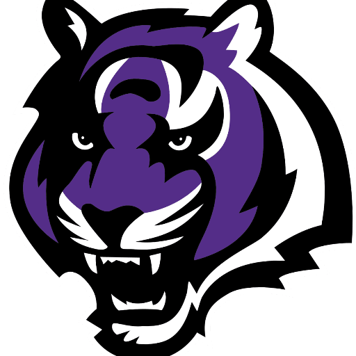 Millennium logo