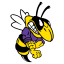 Blue Ridge High School logo