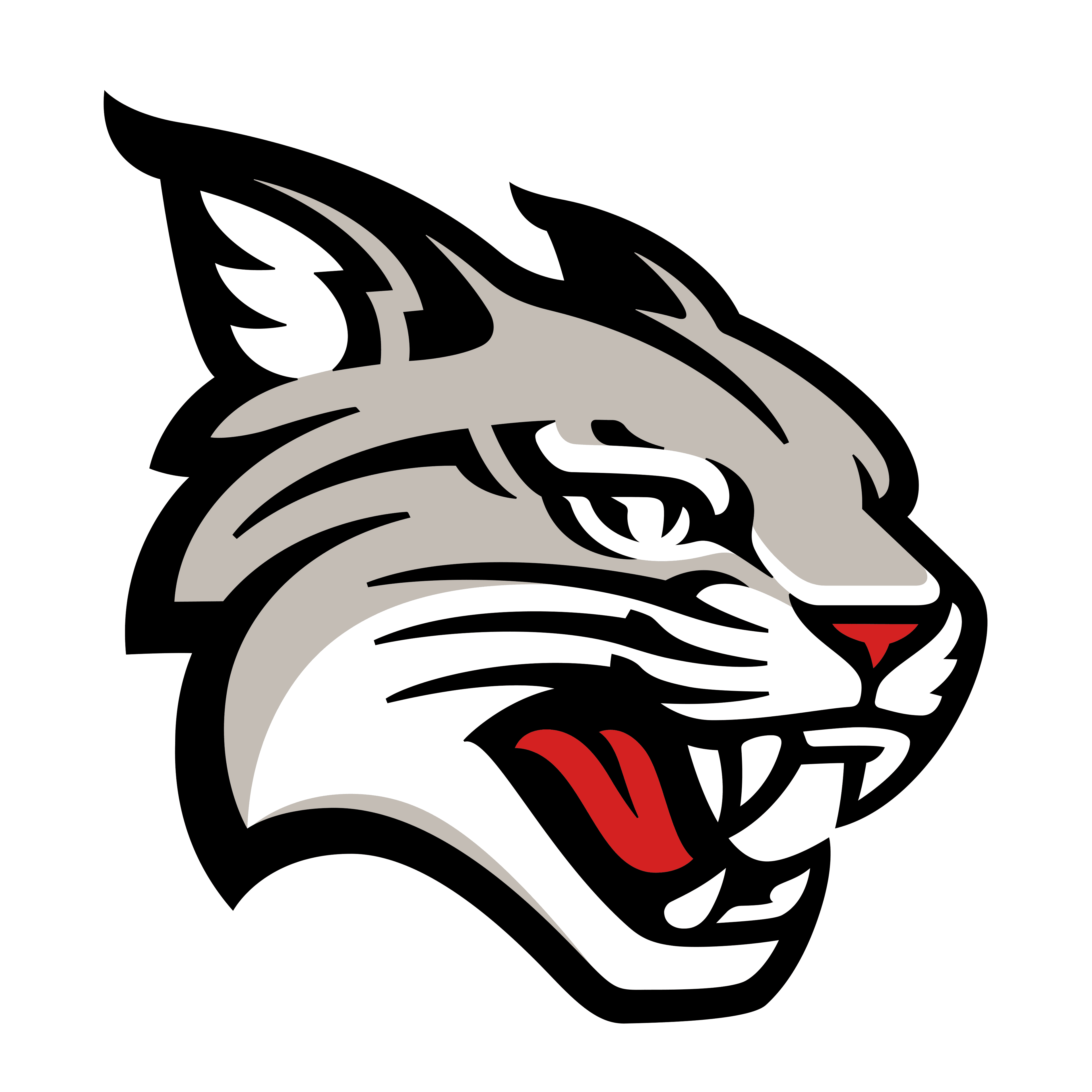 Davidson logo