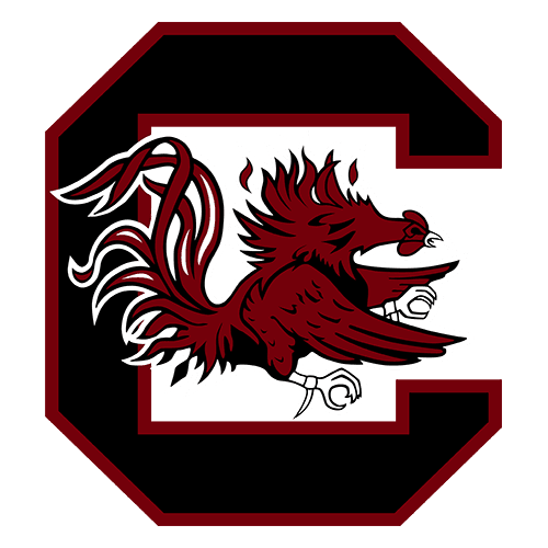 South Carolina logo