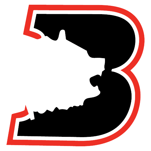 Bradshaw Mountain Online Academy logo