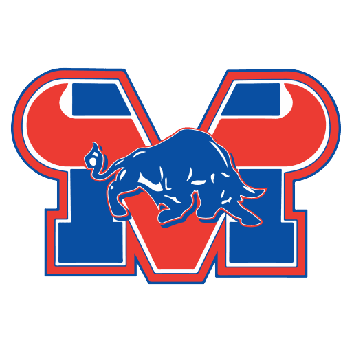 Mountain View High School logo